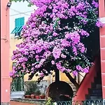 Casa Sissi Sestri Levante