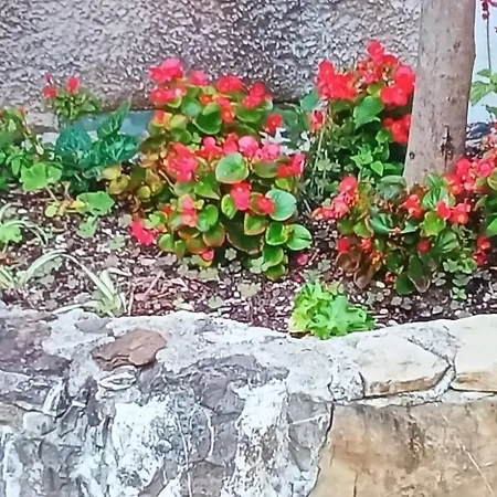 Apartmán Casa Sissi Sestri Levante