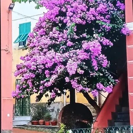 Casa Sissi Sestri Levante